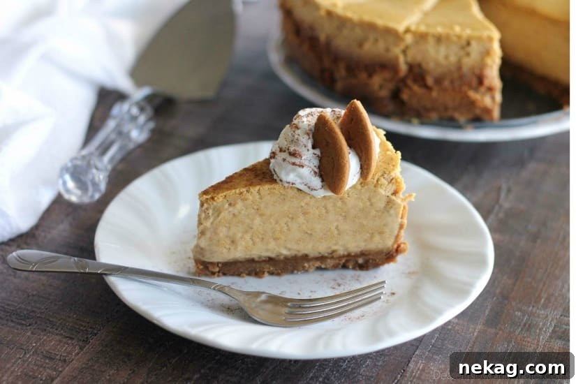 Perfect Gingersnap Pumpkin Cheesecake Minus The Cracks 8 A close-up of the beautifully smooth and golden-brown top of a baked Gingersnap Pumpkin Cheesecake, demonstrating success in crack prevention.