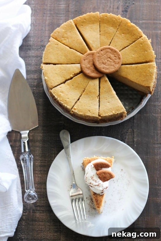Perfect Gingersnap Pumpkin Cheesecake Minus The Cracks 9 A generous slice of Gingersnap Pumpkin Cheesecake on a plate, topped with a dollop of whipped cream and a sprinkle of cinnamon.
