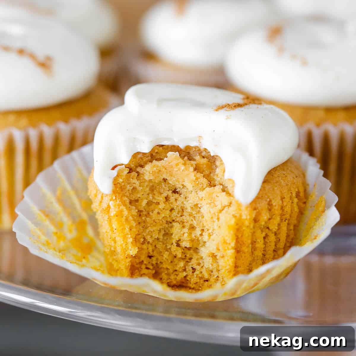 The interior texture of a Pumpkin Spice Cupcake with Maple Cream Cheese Buttercream.