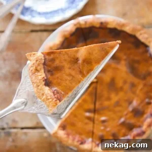 A slice of Pumpkin Pie resting on a silver pie server.