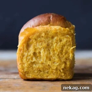 A perfect Pumpkin Spice Dinner Roll, showcasing its golden-brown crust.