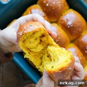Pumpkin Herb Dinner Rolls with a perfect texture, showing the golden-brown crust and soft interior.