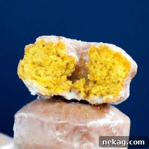Detailed close-up of a Pumpkin Spice Cake Donut, showing its tender crumb and sugary coating.