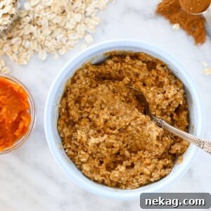 A close-up of Pumpkin Spice Oatmeal, highlighting its creamy texture and comforting appeal.