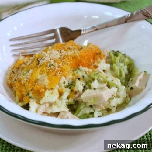 Anatolian Divan 4 Appetizing Turkey Divan Casserole with golden-brown topping