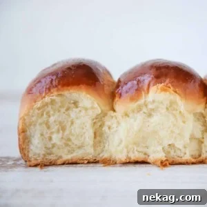 Two soft and fluffy Dinner Rolls, showcasing their appealing texture.