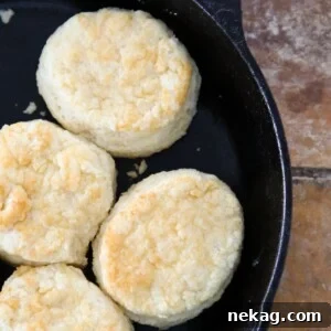 Golden Buttermilk Biscuits baked in a cast iron skillet.