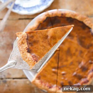 A round image of a Pumpkin Pie slice on a silver pie server.