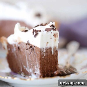 A round image of a French Silk Pie, highlighting its delicious taste.