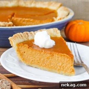 A round image of a Classic Pumpkin Pie with a Twist | My new favorite pumpkin recipe has lemon zest, spices, vanilla and brown sugar! So amazing!