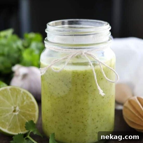A bowl of fresh Cilantro-Lime Vinaigrette with fresh limes and cilantro sprigs nearby, ready to be served.