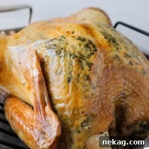 Roasted Herb Turkey, perfectly browned.