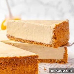 A slice of pumpkin no bake cheesecake on a server.