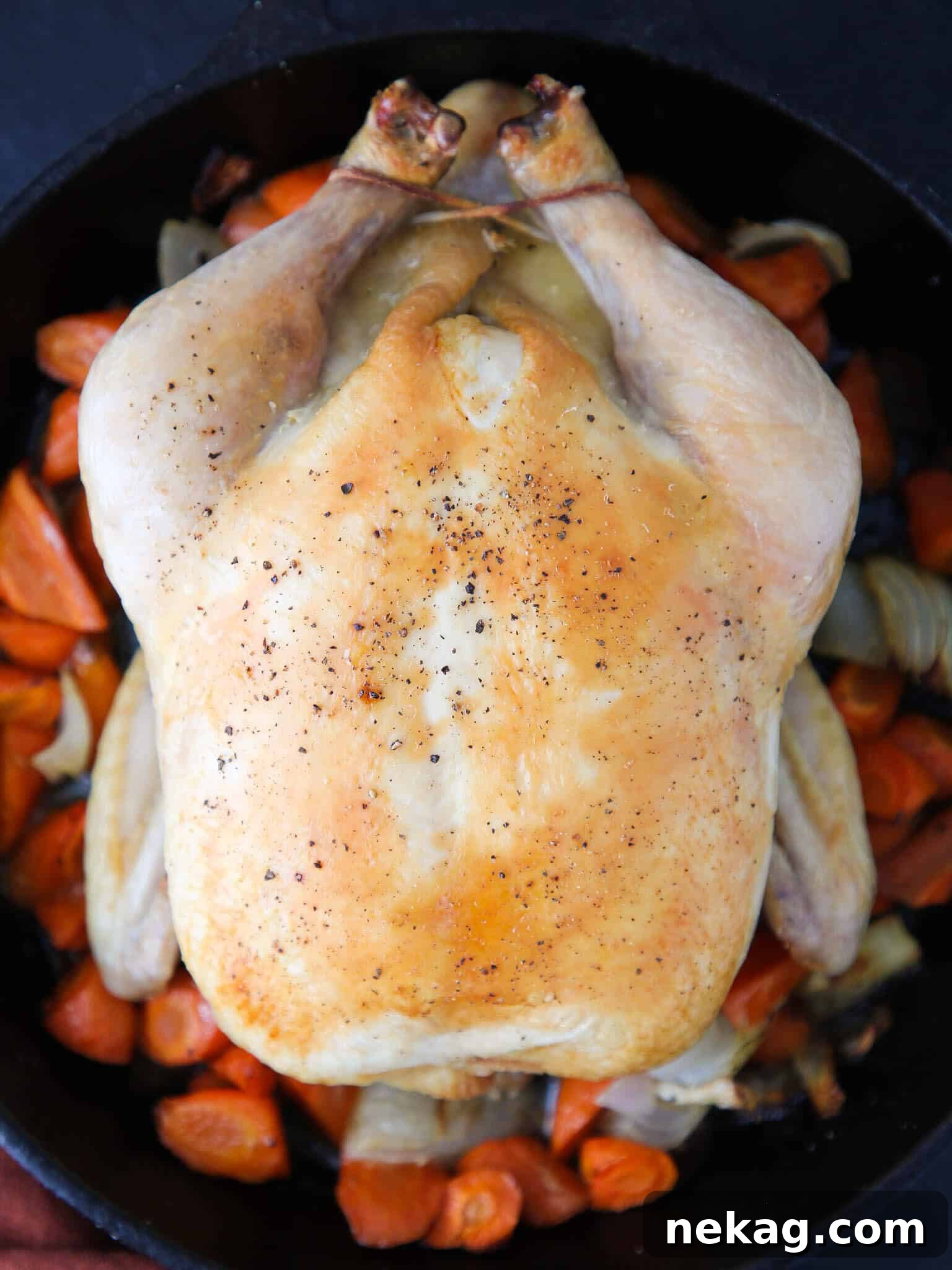 Oven Roasted Perfection 2 Perfectly Golden Roasted Whole Chicken with Lemon and Herbs
