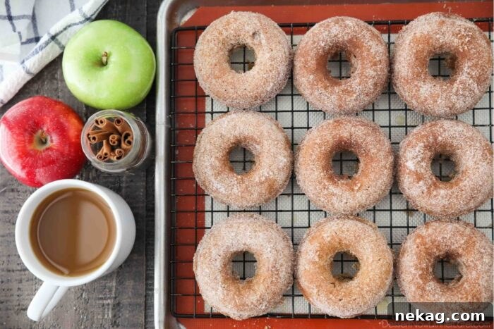Cinnamon-sugar coated baked apple cider donuts on a cooling rack.