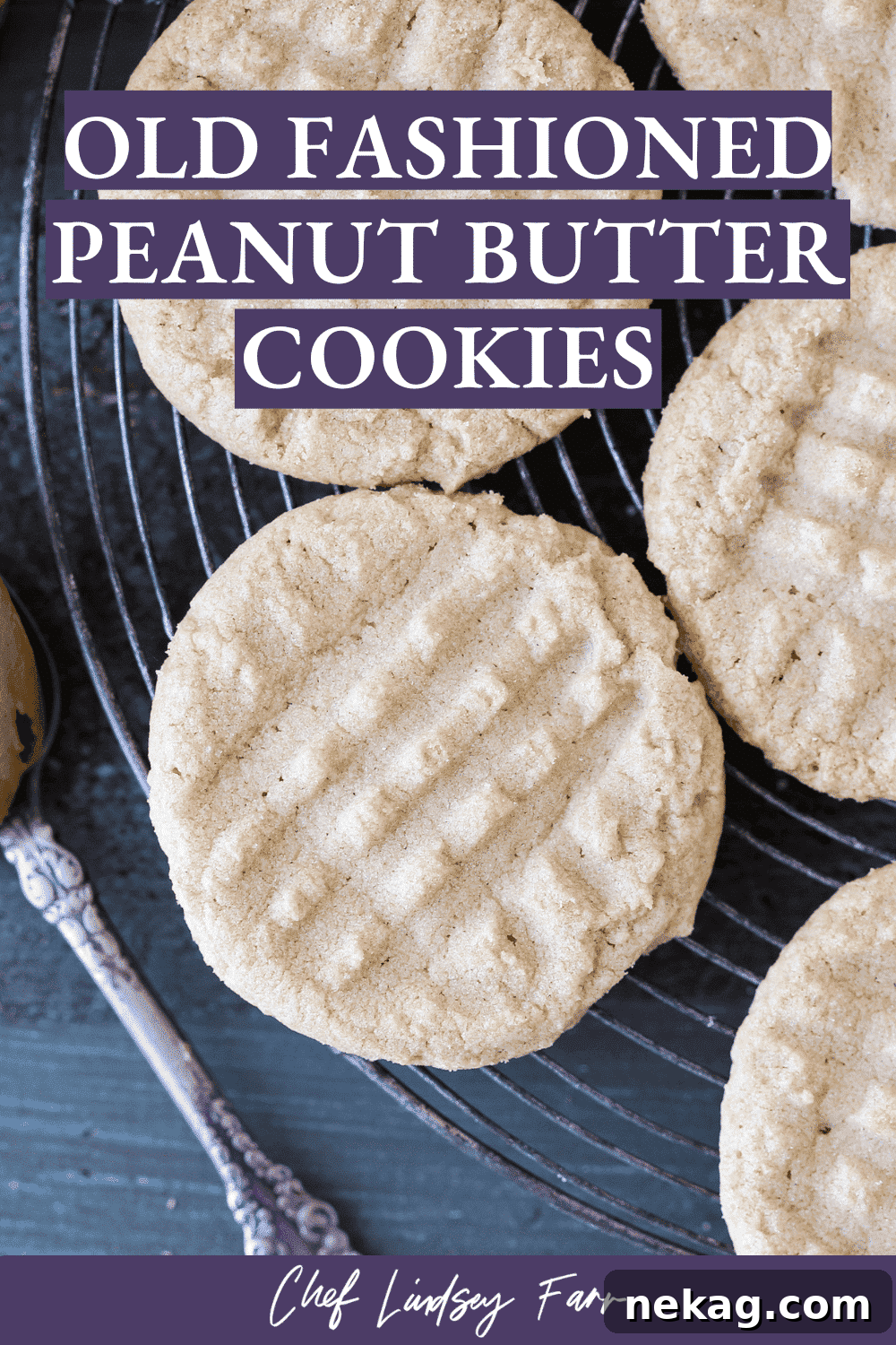 Baked old fashioned peanut butter cookies with a spoonful of peanut butter, a tempting sight.