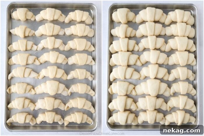 Perfect Homemade Crescent Rolls Video Recipe 12 A side-by-side comparison of shaped crescent rolls before and after their second rise, showing a significant increase in volume.