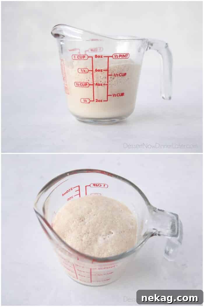 Perfect Homemade Crescent Rolls Video Recipe 6 A two-image collage showing yeast blooming in warm water: one from the side to show activity, and another overhead view of the frothy mixture.