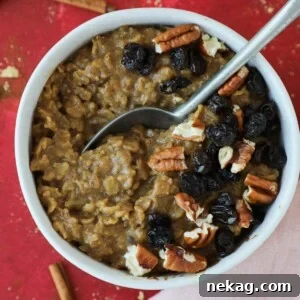 Overhead shot of gingerbread oatmeal in a bowl, garnished with a cinnamon stick and star anise, giving a cozy vibe.