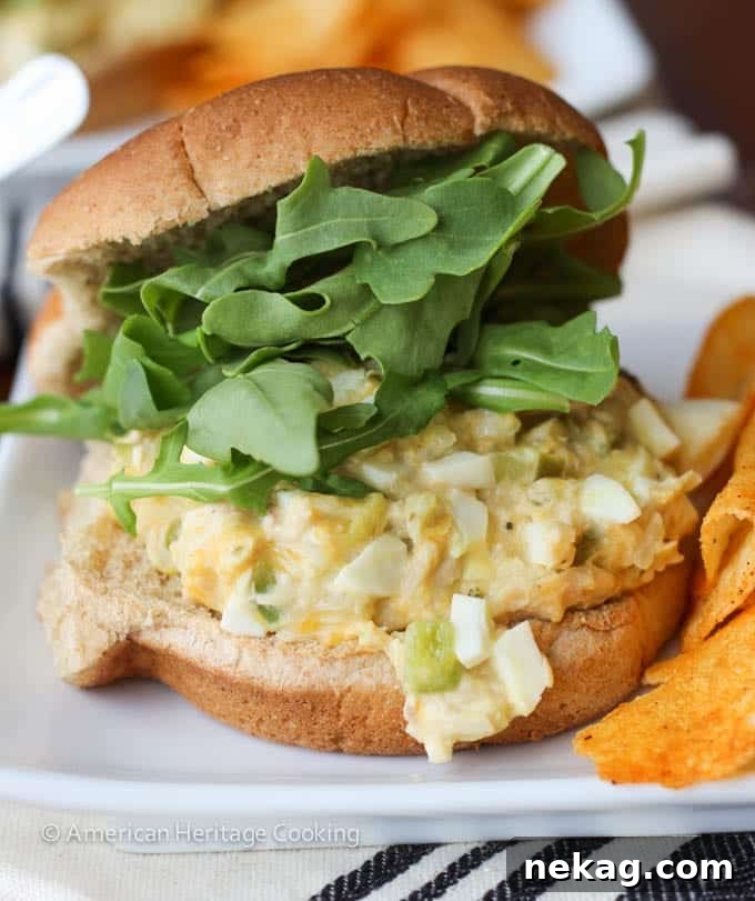 The Ultimate Tuna Melt 2 Delicious tuna melt sandwich served with crunchy BBQ chips, promising a perfect blend of flavors and textures.