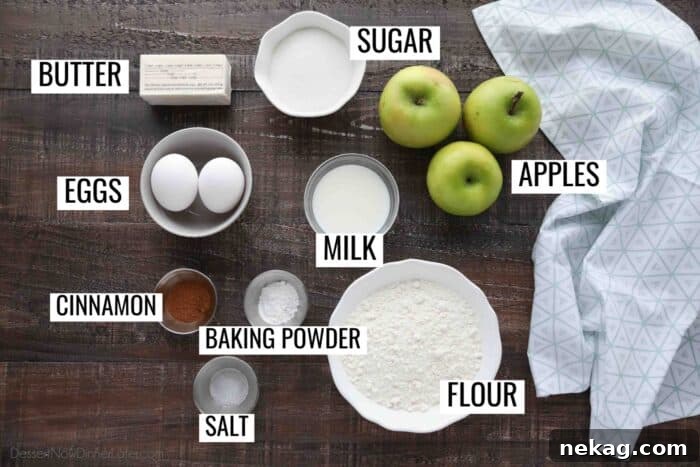 Emerald Isle Apple Cake 6 A vibrant flat lay image showcasing all the essential ingredients for Irish Apple Cake: butter, sugar, eggs, milk, fresh apples, cinnamon, baking powder, salt, and flour.