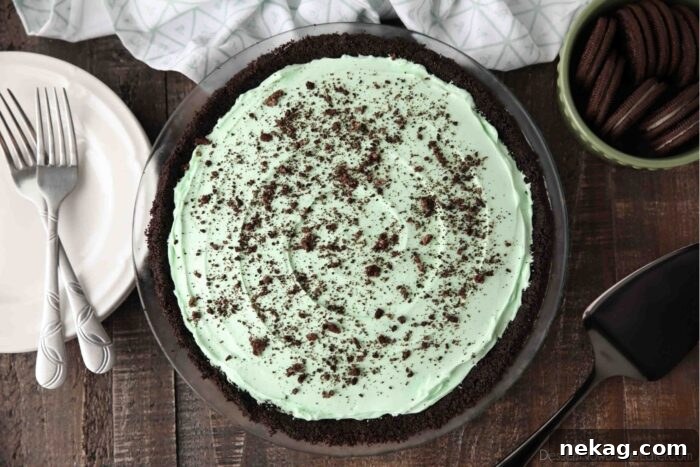 An overhead shot of an entire grasshopper pie in a pie dish, generously topped with crushed Oreo cookies.