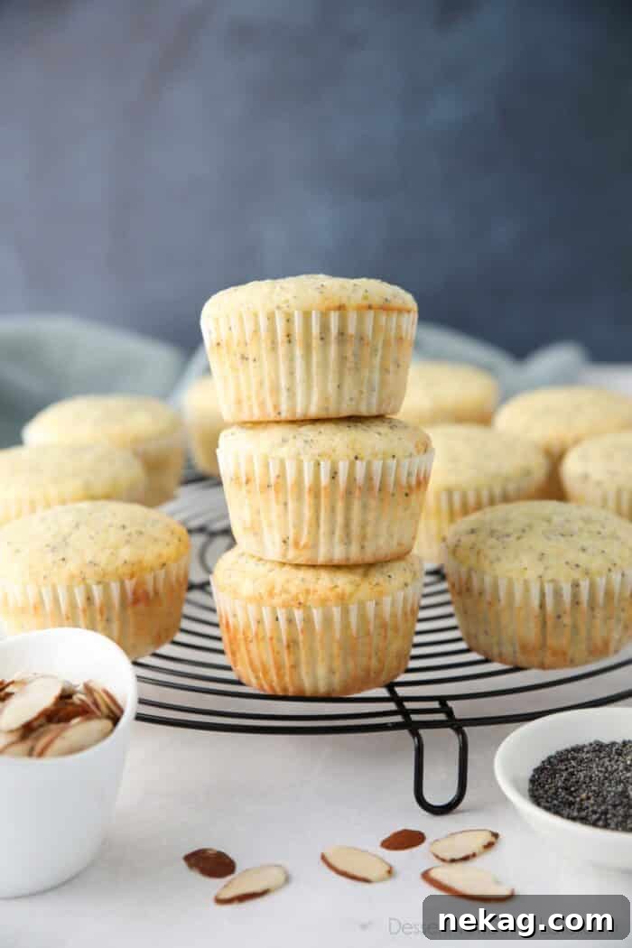Golden Almond Poppy Seed Muffins 2 Almond Poppy Seed Muffins stacked on top of each other, showcasing their golden tops and tender crumb.