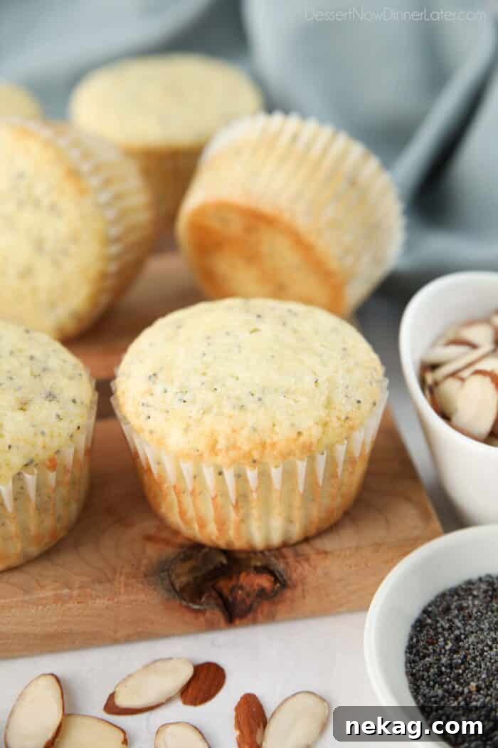 Golden Almond Poppy Seed Muffins 3 Close up of an almond poppy seed muffin, revealing its moist interior and scattered poppy seeds.