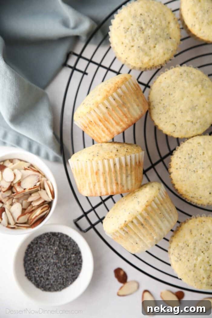 Golden Almond Poppy Seed Muffins 4 Top view of almond poppy seed muffins resting on a wire cooling rack, showing their perfectly rounded tops.