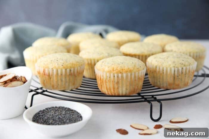 Golden Almond Poppy Seed Muffins 10 Side view of almond poppy seed muffins resting on a wire cooling rack, highlighting their appealing domed tops.