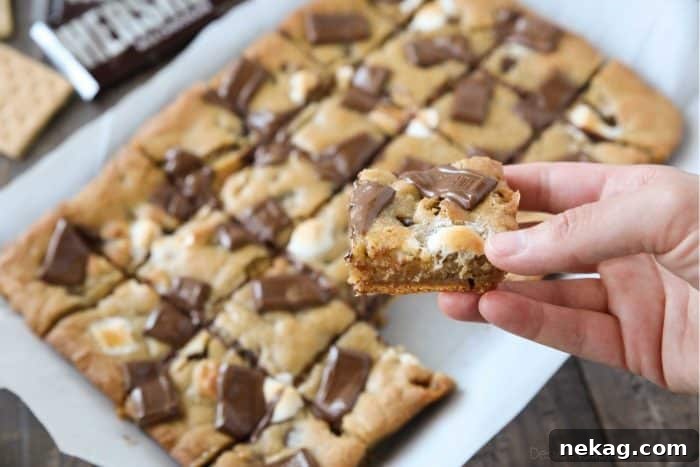 Warm and gooey s'mores cookie bars with graham crackers on bottom, marshmallows inside, and chocolate pieces on top.
