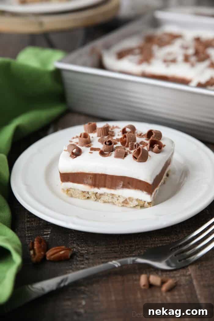 A close-up of the layered Chocolate Delight dessert, showing the pecan crust, cream cheese, chocolate pudding, and whipped topping with chocolate curls.