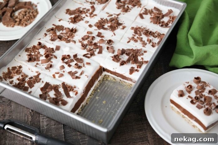 A pan of Chocolate Delight dessert with two pieces removed.