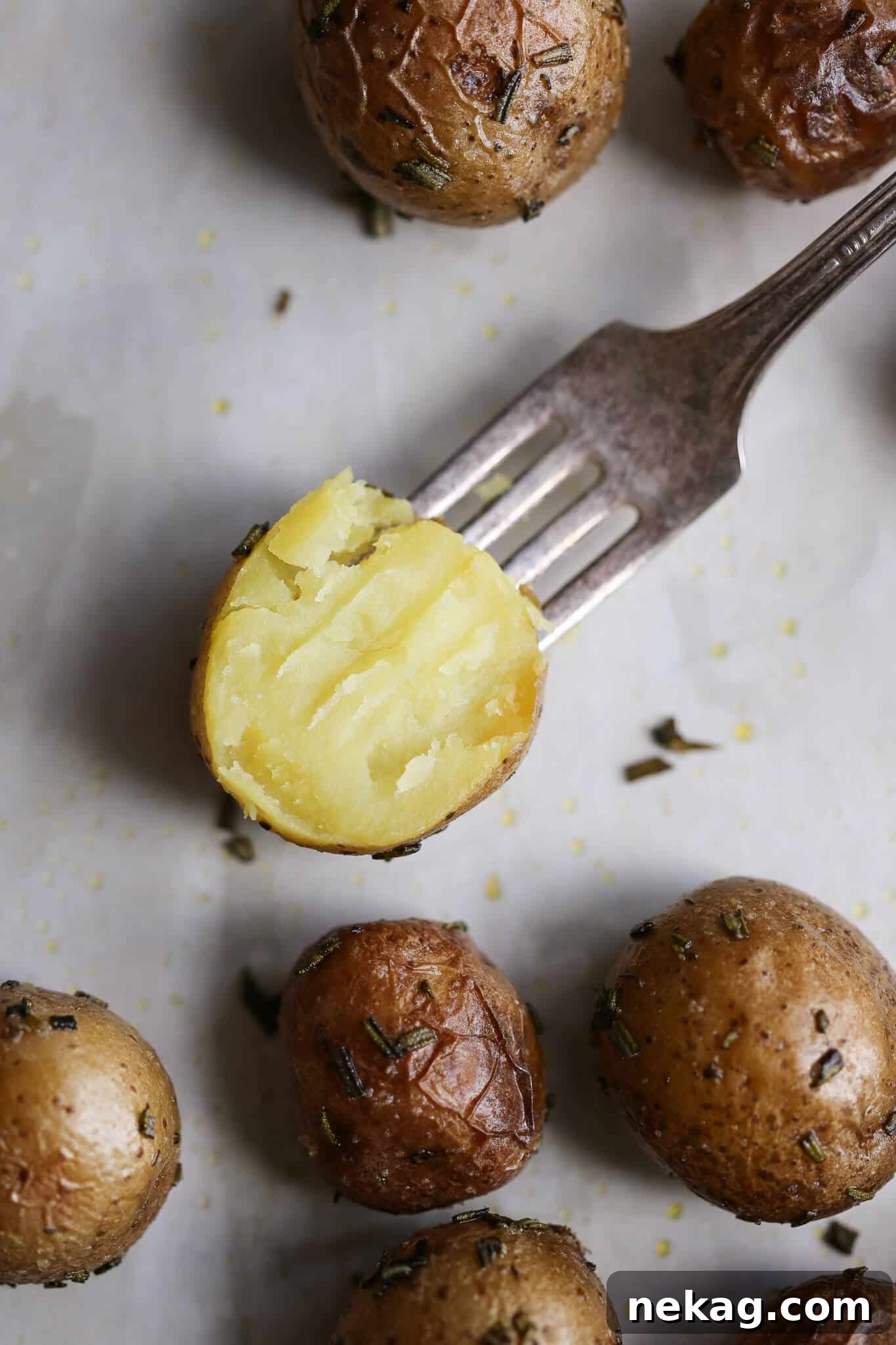 Rosemary Roasted Potato interior on fork