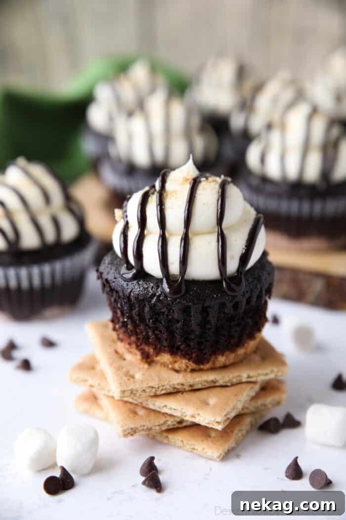 Single chocolate cupcake featuring a visible graham cracker crust and a generous swirl of marshmallow buttercream frosting.