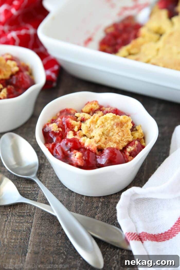 A serving bowl showcasing a warm portion of cherry dump cake, with its bright red fruit base and crumbly golden cake topping, perfect for a cozy dessert.