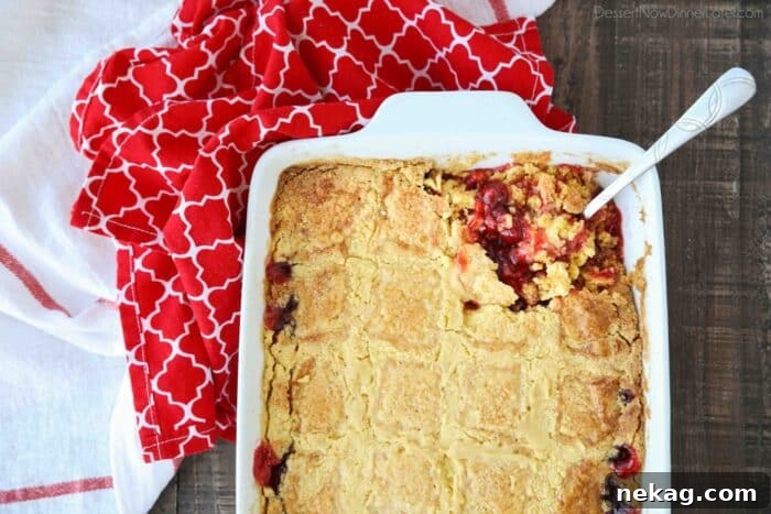 A perfectly baked cherry dump cake in a 13x9 inch pan, showing its golden-brown, crispy cake topping and bubbling cherry filling underneath.