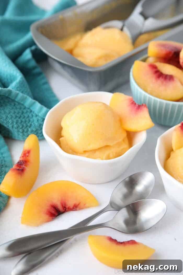 Lush peach sorbet, perfectly scooped into a dish, showcases its vibrant color and smooth texture. Made with simple ingredients like frozen peaches, sugar, and lemon juice, this easy recipe is a refreshing frozen dessert ideal for summer.