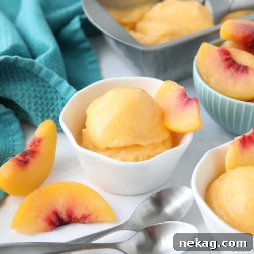 Three individual dishes of peach sorbet, garnished with mint leaves, ready to be served and enjoyed.