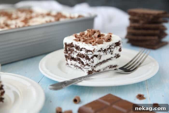 A perfectly cut slice of chocolate icebox cake, garnished with delicate chocolate shavings on top, ready to be enjoyed.
