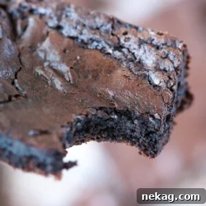 A delicious brownie with a perfect flaky top.