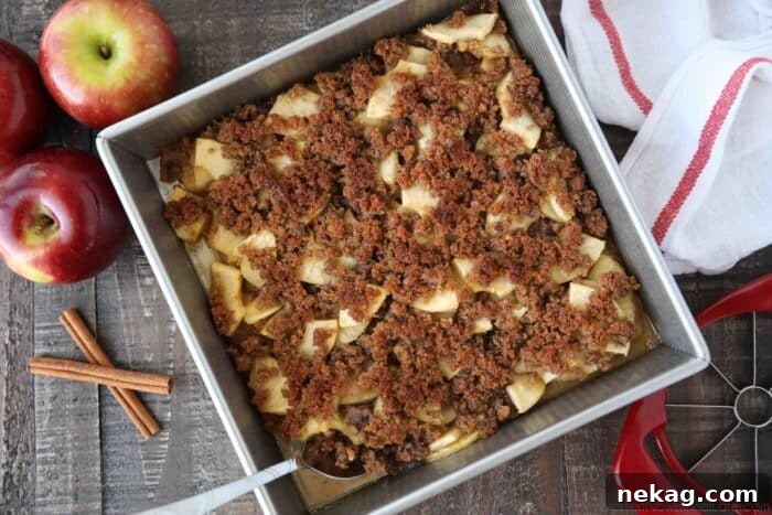 Top view of baked apple brown betty in a pan.