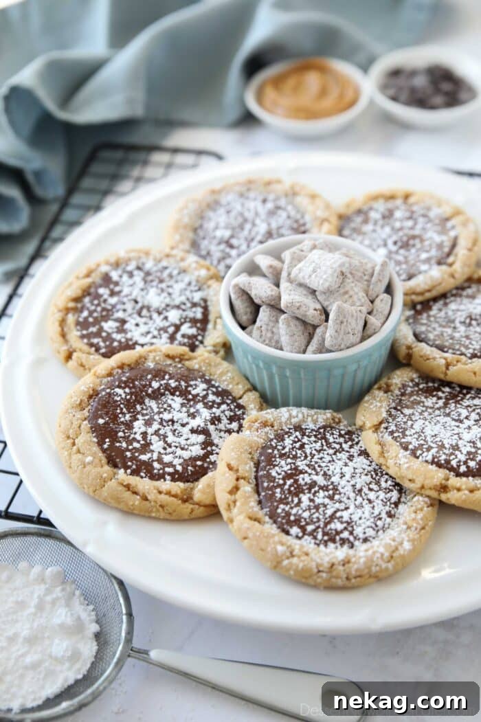 Chocolate Peanut Butter Cookie Chow 4 Angled view of a plate of peanut butter chocolate cookies, beautifully adorned with powdered sugar, accompanied by a bowl of muddy buddies Chex mix, emphasizing the flavor connection.