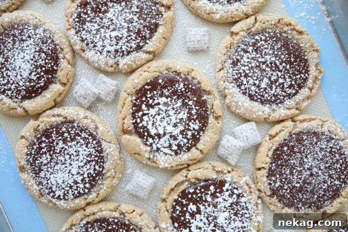 Chocolate Peanut Butter Cookie Chow 8 Peanut butter cookies meticulously topped with melted chocolate and then generously sprinkled with powdered sugar, perfectly emulating the beloved muddy buddies snack mix.