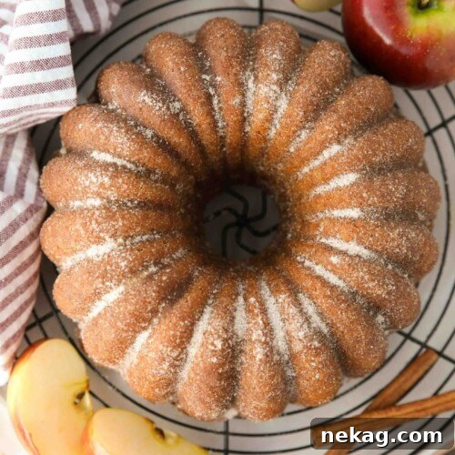 Top view of apple cider bundt cake with cinnamon-sugar sprinkled on the outside.