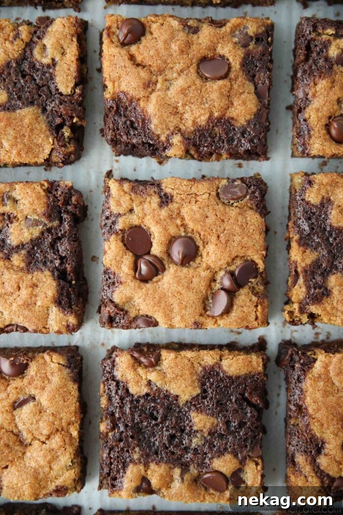 Speckled Jewels of the Stream 2 Close up of Brookies - half fudgy brownies and half chewy chocolate chip cookies cut into perfect squares, showing their distinct layers.