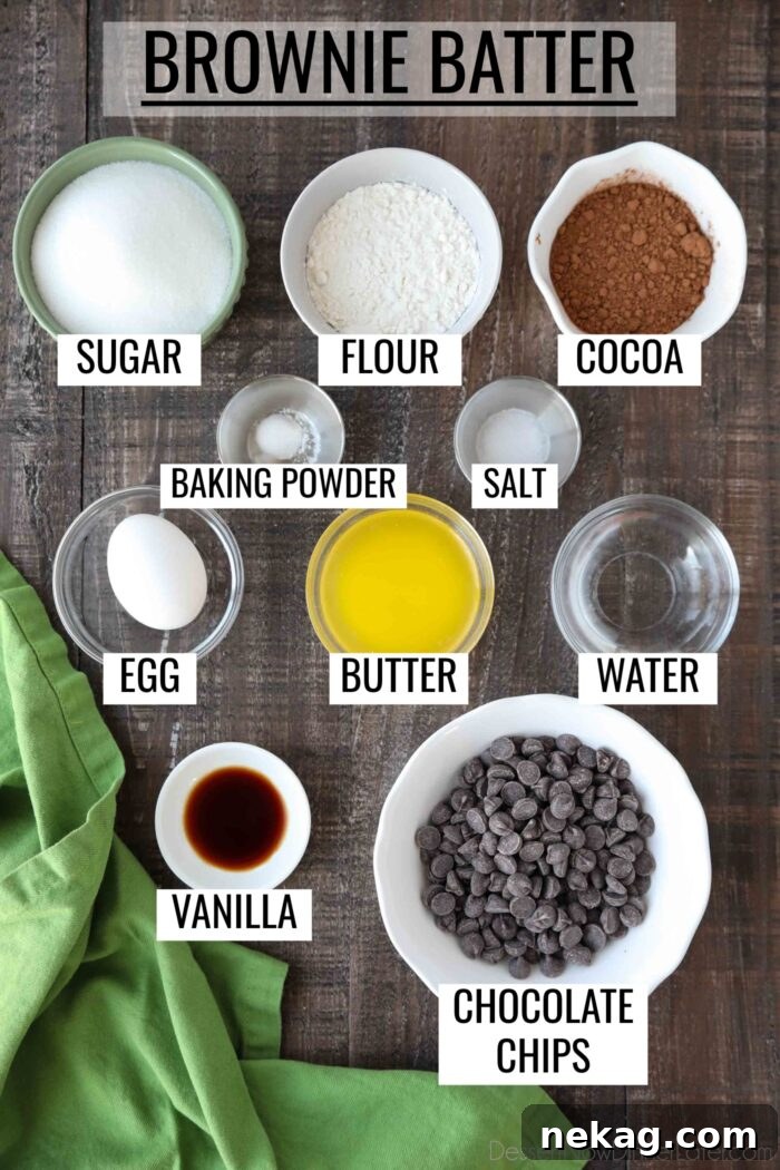 Speckled Jewels of the Stream 5 A flat lay of labeled ingredients for brownie batter: granulated sugar, all-purpose flour, cocoa powder, baking powder, salt, large egg, unsalted butter, water, vanilla extract, and chocolate chips.