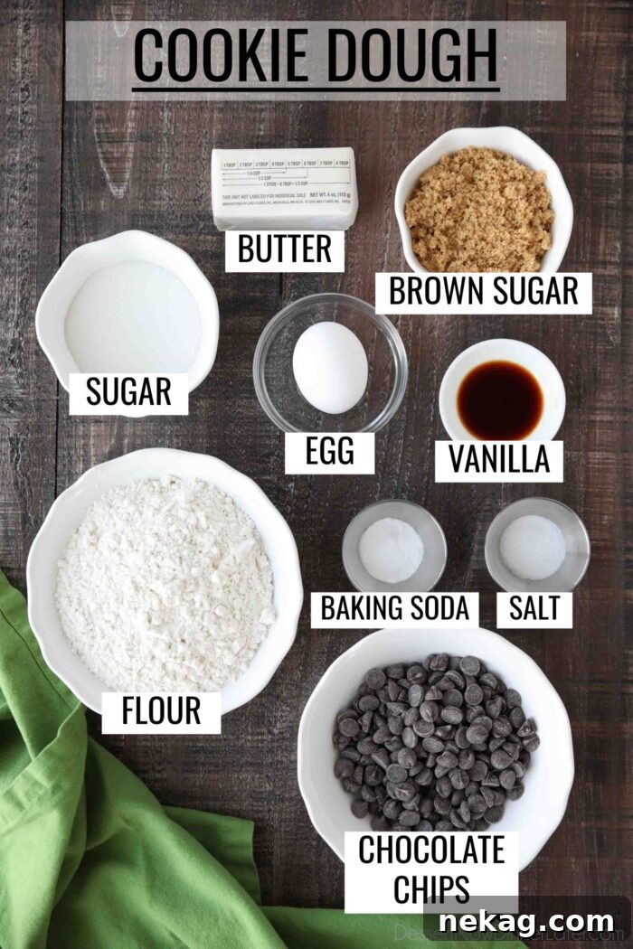 Speckled Jewels of the Stream 7 A flat lay of labeled ingredients for chocolate chip cookie dough: unsalted butter, light brown sugar, granulated sugar, large egg, vanilla extract, all-purpose flour, baking soda, salt, and chocolate chips.