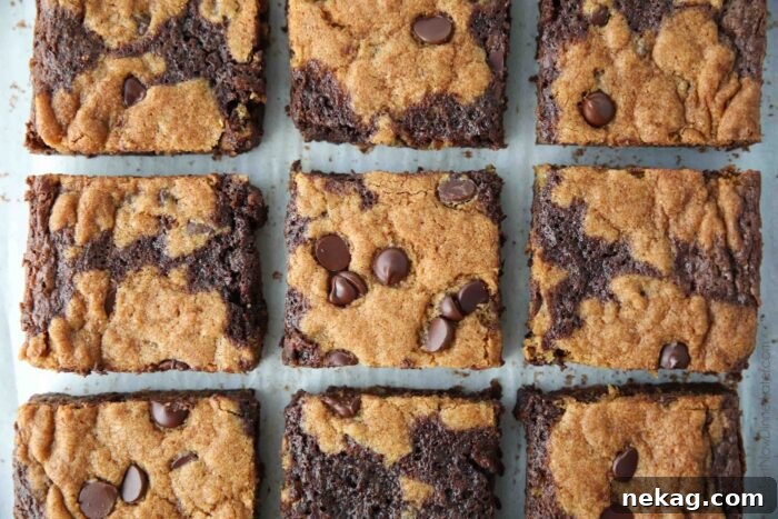 Speckled Jewels of the Stream 10 Close-up of baked chocolate chip cookie brownies, showing a golden brown top layer of cookies and the dark rich brownie underneath.