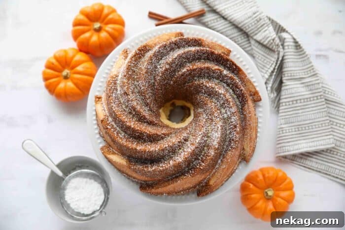 Spiced Pumpkin Bundt with Cream Cheese Swirl 8 A freshly baked Pumpkin Cream Cheese Bundt Cake, golden brown and perfectly risen, cooling on a wire rack after being inverted from the pan.